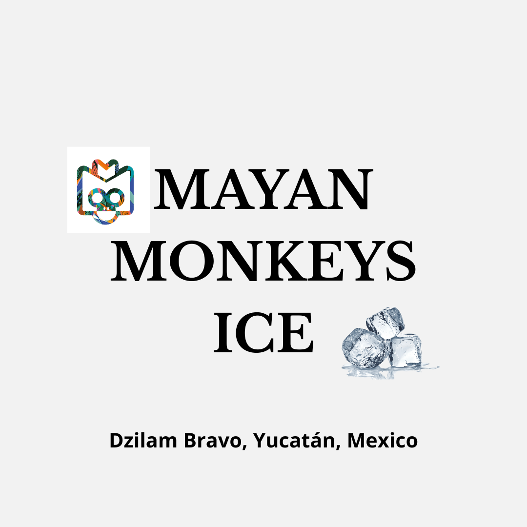 Mayan Monkeys Ice Dzilam Bravo